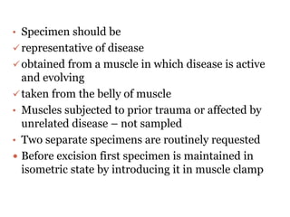 • Specimen should be
representative of disease
obtained from a muscle in which disease is active
and evolving
taken from the belly of muscle
• Muscles subjected to prior trauma or affected by
unrelated disease – not sampled
• Two separate specimens are routinely requested
 Before excision first specimen is maintained in
isometric state by introducing it in muscle clamp
 