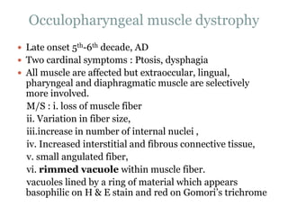 Occulopharyngeal muscle dystrophy
 Late onset 5th-6th decade, AD
 Two cardinal symptoms : Ptosis, dysphagia
 All muscle are affected but extraoccular, lingual,
pharyngeal and diaphragmatic muscle are selectively
more involved.
M/S : i. loss of muscle fiber
ii. Variation in fiber size,
iii.increase in number of internal nuclei ,
iv. Increased interstitial and fibrous connective tissue,
v. small angulated fiber,
vi. rimmed vacuole within muscle fiber.
vacuoles lined by a ring of material which appears
basophilic on H & E stain and red on Gomori’s trichrome
 