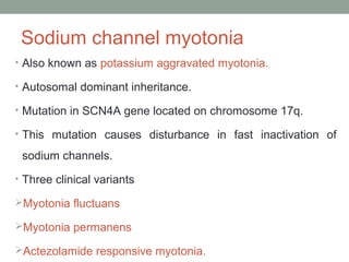 Sodium channel myotonia
• Also known as potassium aggravated myotonia.
• Autosomal dominant inheritance.
• Mutation in SCN4A gene located on chromosome 17q.
• This mutation causes disturbance in fast inactivation of
sodium channels.
• Three clinical variants
Myotonia fluctuans
Myotonia permanens
Actezolamide responsive myotonia.
 
