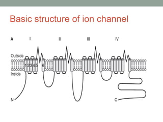 Basic structure of ion channel
 