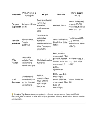 All Muscles present in the human body ( Quick revision) | PDF