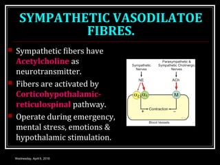 SYMPATHETIC VASODILATOE
FIBRES.
 Sympathetic fibers have
Acetylcholine as
neurotransmitter.
 Fibers are activated by
Corticohypothalamic-
reticulospinal pathway.
 Operate during emergency,
mental stress, emotions &
hypothalamic stimulation.
Wednesday, April 6, 2016
 