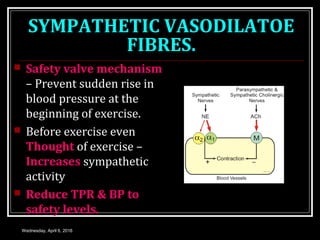 SYMPATHETIC VASODILATOE
FIBRES.
 Safety valve mechanism
– Prevent sudden rise in
blood pressure at the
beginning of exercise.
 Before exercise even
Thought of exercise –
Increases sympathetic
activity
 Reduce TPR & BP to
safety levels.
Wednesday, April 6, 2016
 