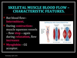 SKELETAL MUSCLE BLOOD FLOW –
CHARACTERISTIC FEATURES.
 But blood flow–
Intermittent.
 During contraction-
muscle squeezes vessels
– flow stop – again
during relaxation, flow
increases
 Myoglobin – O2
acceptor.
Wednesday, April 6, 2016
 