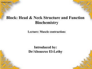 [object Object],بسم الله الرحمن الرحيم Block: Head & Neck Structure and Function Biochemistry Lecture: Muscle contraction: Introduced by:  Dr/Abousree El-Lethy 