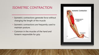 ISOMETRIC CONTRACTION
• Isometric contractions generate force without
changing the length of the muscle
• Isometric contractions are frequently used to
maintain posture.
• Common in the muscles of the hand and
forearm responsible for grip.
 