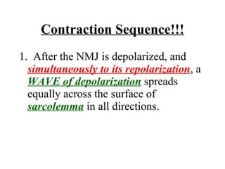 Contraction Sequence!!! ,[object Object]