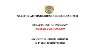 DEPARTMENT OF ZOOLOGY
MUSCLE CONTRACTION
PRESENTED BY :-SONALI GHOSAL
+3 1st YEAR ZOOLOGY (HONS).
 