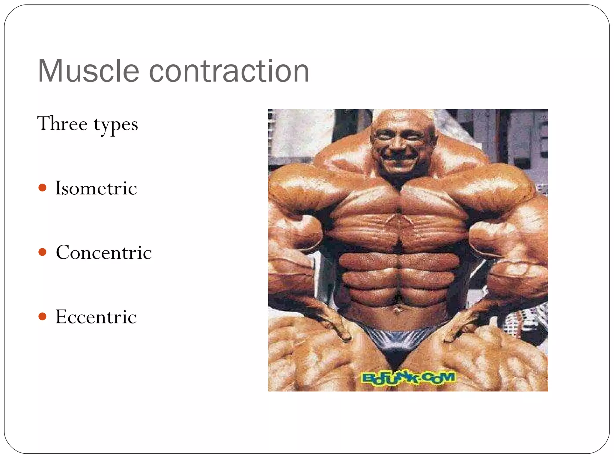 Muscle contraction Three types Isometric Concentric Eccentric 