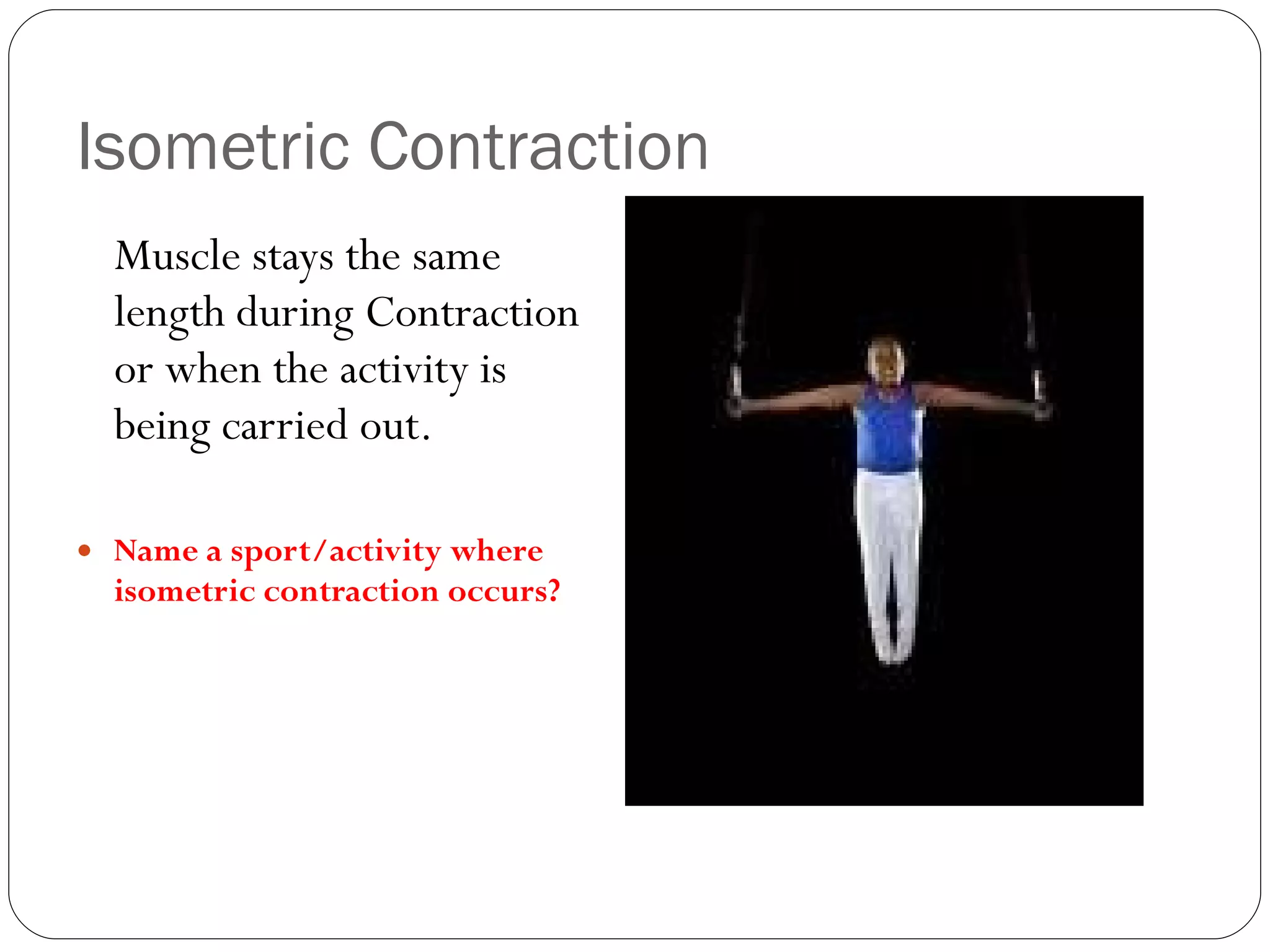Isometric Contraction Muscle stays the same length during Contraction or when the activity is being carried out. Name a sport/activity where isometric contraction occurs? 
