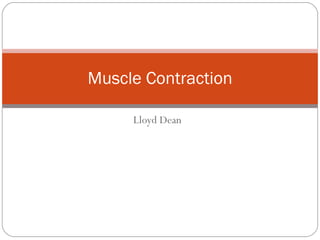 Lloyd Dean Muscle Contraction 