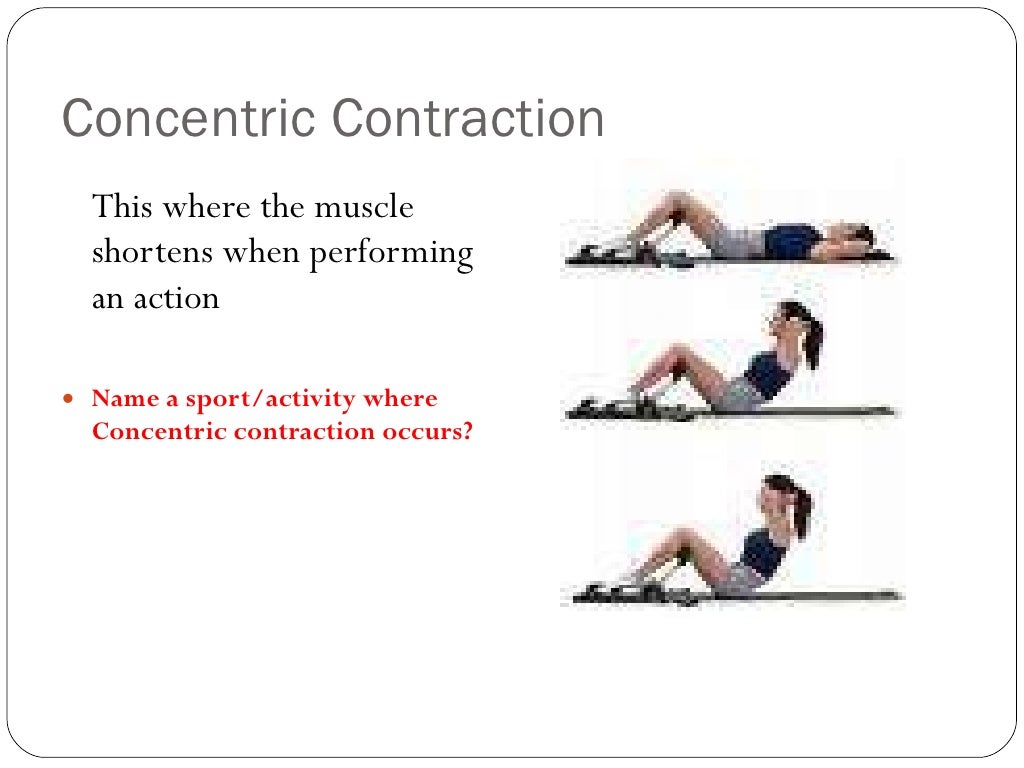 Muscle contraction types and all or none law