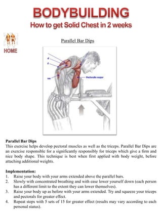 Muscle diagram website 2 | PPTX
