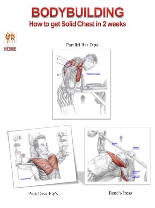 Parallel Bar Dips




Peck Deck Fly's                       Bench-Press
 