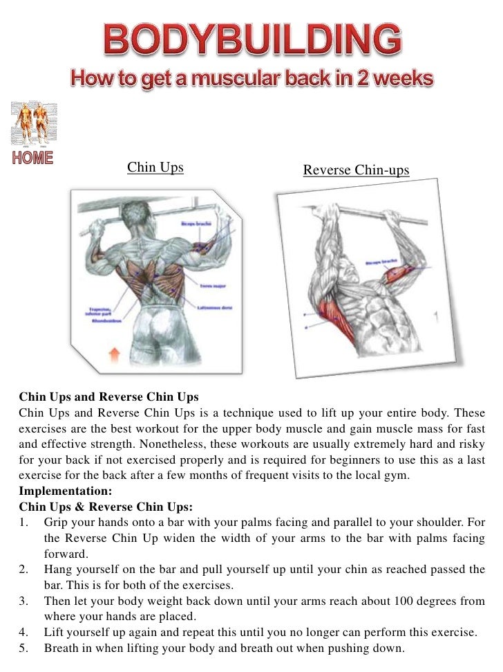 Muscles used in chin ups diagram