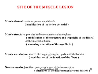 SITE OF THE MUSCLE LESION
Muscle channel: sodium, potassium, chloride
( modification of the action potential )
Muscle structure: proteins in the membrane and sarcoplasm
( modification of the structure and trophicity of the fibers )
or the interstitial tissue
( secondary alteration of the myofibrils )
Muscle metabolism: source of energy: glycogen, lipids, mitochohondria
( modification of the function of the fibers )
Neuromuscular junction: postsynaptic acetylcholine receptors
( alteration of the neuromuscular transmission )
Rosette Jabbour, MD 13
 
