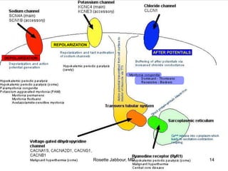 DEPOLARIZATION
REPOLARIZATION
AFTER POTENTIALS
Rosette Jabbour, MD 14
 