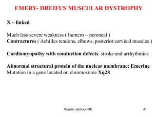 EMERY- DREIFUS MUSCULAR DYSTROPHY
X – linked
Much less severe weakness ( humero – peroneal )
Contractures ( Achilles tendons, elbows, posterior cervical muscles )
Cardiomyopathy with conduction defects: stroke and arrhythmias
Abnormal structural protein of the nuclear membrane: Emerine
Mutation in a gene located on chromosome Xq28
Rosette Jabbour, MD 41
 