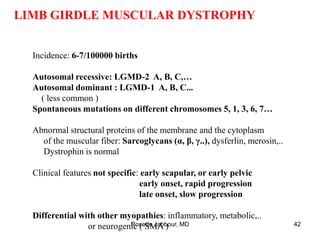 LIMB GIRDLE MUSCULAR DYSTROPHY
Incidence: 6-7/100000 births
Autosomal recessive: LGMD-2 A, B, C,…
Autosomal dominant : LGMD-1 A, B, C...
( less common )
Spontaneous mutations on different chromosomes 5, 1, 3, 6, 7…
Abnormal structural proteins of the membrane and the cytoplasm
of the muscular fiber: Sarcoglycans (α, β, γ..), dysferlin, merosin,..
Dystrophin is normal
Clinical features not specific: early scapular, or early pelvic
early onset, rapid progression
late onset, slow progression
Differential with other myopathies: inflammatory, metabolic,..
or neurogenic ( SMA )
Rosette Jabbour, MD 42
 