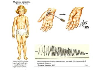 Rosette Jabbour, MD 55
 