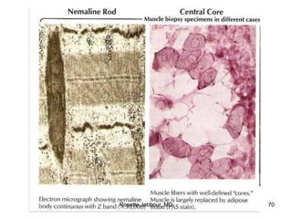 Rosette Jabbour, MD 70
 