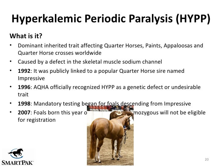 Muscle disorders webinar may2012 final7pm