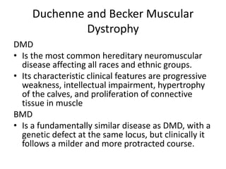 Duchenne and Becker Muscular
Dystrophy
DMD
• Is the most common hereditary neuromuscular
disease affecting all races and ethnic groups.
• Its characteristic clinical features are progressive
weakness, intellectual impairment, hypertrophy
of the calves, and proliferation of connective
tissue in muscle
BMD
• Is a fundamentally similar disease as DMD, with a
genetic defect at the same locus, but clinically it
follows a milder and more protracted course.
 