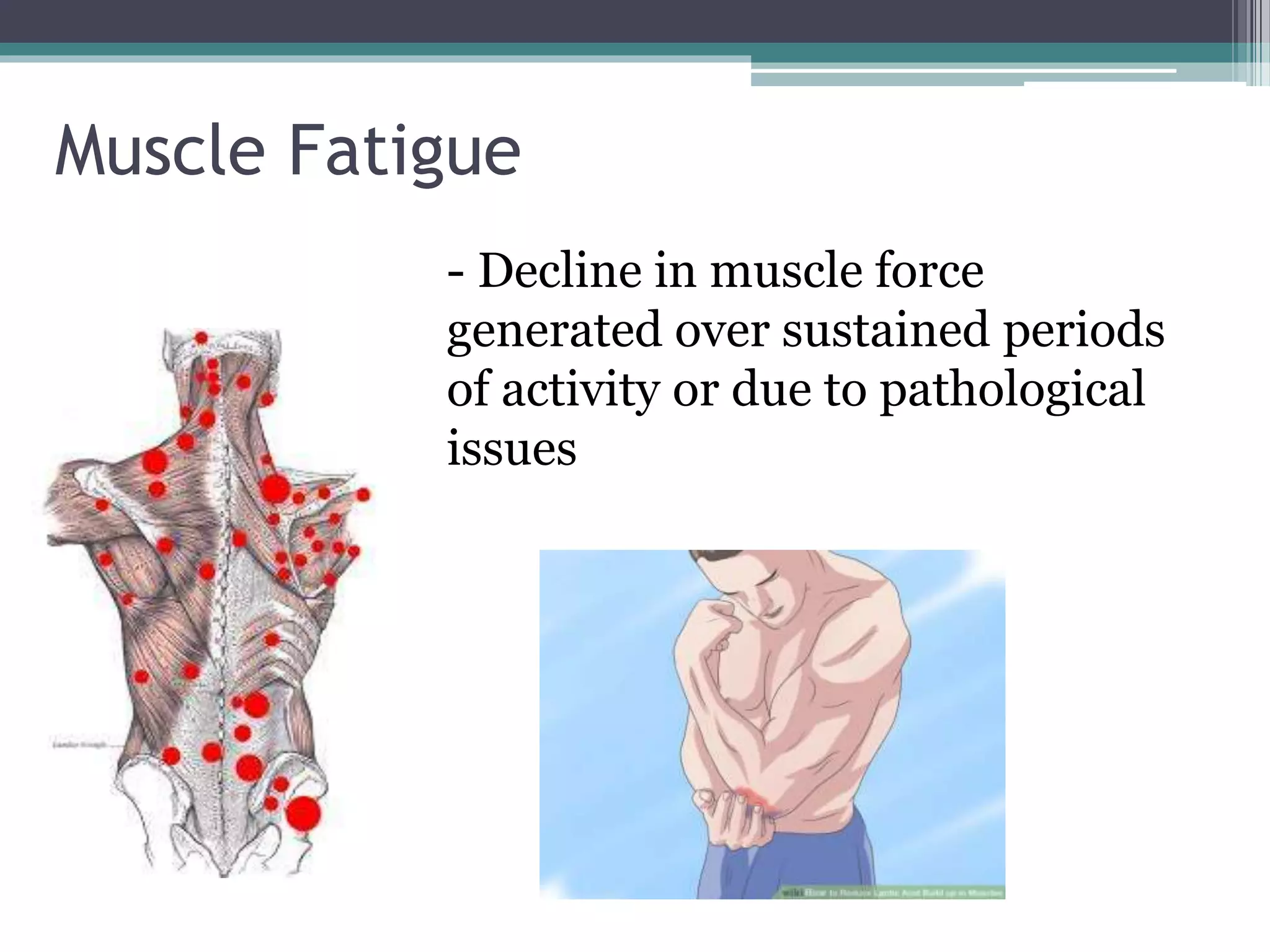 Muscle fatigue | PPTX