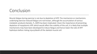 Conclusion
Muscle fatigue during exercise is not due to depletion of ATP. The mechanism or mechanisms
underlying exercise-induced fatigue are not known, although the accumulation of various
metabolic products (lactate, Pi, ADP) has been implicated. Given the importance of preventing
depletion of myoplasmic ATP, which would affect the viability of the cell, it is likely that multiple
mechanisms may have been developed to induce fatigue and hence lower the rate of ATP
hydrolysis before risking injury/death of the skeletal muscle cell.
 