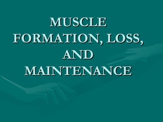 MUSCLE FORMATION, LOSS, AND MAINTENANCE 