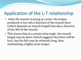 Application of the L-T relationship
 when the muscle is acting at a joint, the torque
produced is not only a function of the muscle force
(which depends on muscle length) but also a function
of the MA of the muscle.
 This means that at a certain joint angle, the muscle
length may be short (which suggests that force will be
low), but the MA may be relatively long, thus
maintaining a higher joint torque.
 