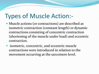 Types of Muscle Action:-
 Muscle actions (or contractions) are described as
isometric contraction (constant length) or dynamic
contractions consisting of concentric contraction
(shortening of the muscle under load) and eccentric
contraction.
 isometric, concentric, and eccentric muscle
contractions were introduced in relation to the
movement occurring at the sarcomere level.
 