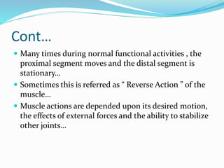 Cont…
 Many times during normal functional activities , the
proximal segment moves and the distal segment is
stationary…
 Sometimes this is referred as “ Reverse Action ” of the
muscle…
 Muscle actions are depended upon its desired motion,
the effects of external forces and the ability to stabilize
other joints…
 