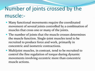 Number of joints crossed by the
muscle:-
 Many functional movements require the coordinated
movement of several joints controlled by a combination of
muscles that cross one or many of the joints.
 The number of joints that the muscle crosses determines
the muscle function. Single-joint muscles tend to be
recruited to produce force and work, primarily in
concentric and isometric contractions.
 Multijoint muscles, in contrast, tend to be recruited to
control the fine regulation of torque during dynamic
movements involving eccentric more than concentric
muscle actions.
 