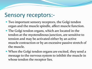 Sensory receptors:-
 Two important sensory receptors, the Golgi tendon
organ and the muscle spindle, affect muscle function.
 The Golgi tendon organs, which are located in the
tendon at the myotendinous junction, are sensitive to
tension and may be activated either by an active
muscle contraction or by an excessive passive stretch of
the muscle.
 When the Golgi tendon organs are excited, they send a
message to the nervous system to inhibit the muscle in
whose tendon the receptor lies.
 
