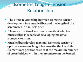 Isometric Length-Tension
Relationship
 The direct relationship between isometric tension
development in a muscle fiber and the length of the
sarcomeres in a muscle fiber.
 There is an optimal sarcomere length at which a
muscle fiber is capable of developing maximal
isometric tension.
 Muscle fibers develop maximal isometric tension at
optimal sarcomere length because the thick and thin
filaments are positioned so that the maximum number
of cross-bridges within the sarcomere can be formed.
 