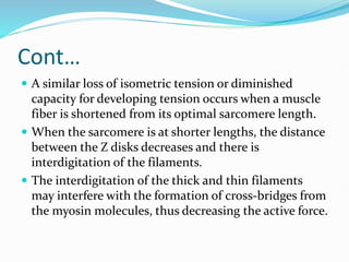 Cont…
 A similar loss of isometric tension or diminished
capacity for developing tension occurs when a muscle
fiber is shortened from its optimal sarcomere length.
 When the sarcomere is at shorter lengths, the distance
between the Z disks decreases and there is
interdigitation of the filaments.
 The interdigitation of the thick and thin filaments
may interfere with the formation of cross-bridges from
the myosin molecules, thus decreasing the active force.
 