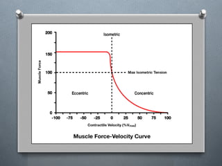 muscle function (biomechanics and kinesiology pptx | PPTX