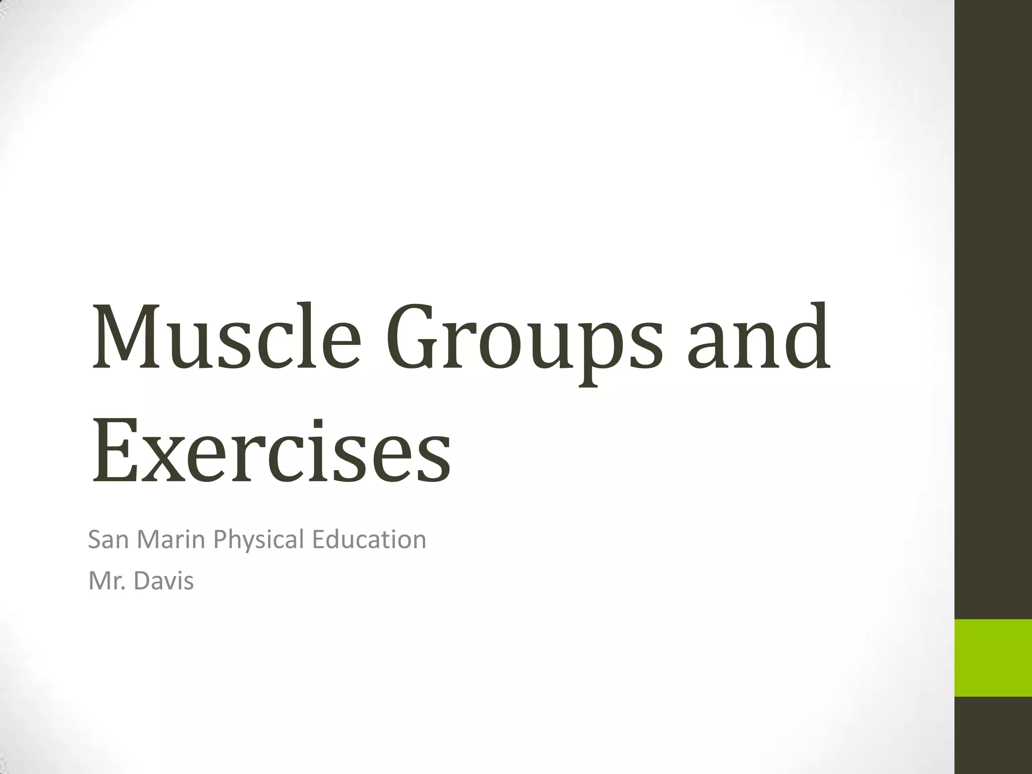 Muscle Groups and Exercises | PPTX | Fitness and Exercise | Healthy Living