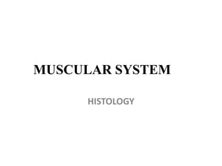 MUSCULAR SYSTEM
HISTOLOGY
 