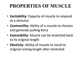 Muscle Histo ppt