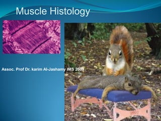 Muscle Histology




Assoc. Prof Dr. karim Al-Jashamy IMS 2009
 