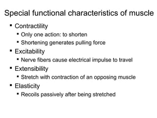 Special functional characteristics of muscle
 Contractility
 Only one action: to shorten
 Shortening generates pulling ...