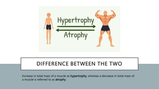 DIFFERENCE BETWEEN THE TWO
Increase in total mass of a muscle as hypertrophy, whereas a decrease in total mass of
a muscle is referred to as atrophy.
 