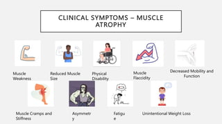 CLINICAL SYMPTOMS – MUSCLE
ATROPHY
Muscle
Weakness
Reduced Muscle
Size
Physical
Disability
Muscle
Flaccidity
Decreased Mobility and
Function
Muscle Cramps and
Stiffness
Asymmetr
y
Fatigu
e
Unintentional Weight Loss
 