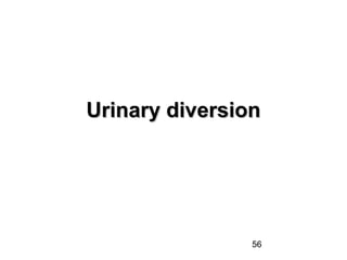 56
Urinary diversionUrinary diversion
 