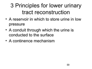 59
3 Principles for lower urinary
tract reconstruction
• A reservoir in which to store urine in low
pressure
• A conduit through which the urine is
conducted to the surface
• A continence mechanism
 