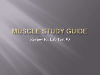 Review for Lab Test #3
 