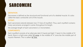 SARCOMERE
DEFINITION:
Sarcomere is defined as the structural and functional unit of a skeletal muscle. It is also
called the basic contractile unit of the muscle.
EXTENT:
Each sarcomere extends between two ‘Z’ lines of myofibril. Thus, each myofibril contains
many sarcomeres arranged in series throughout its length.
the average length of each sarcomere is 2 micrometers.
COMPONENTS:
Each myofibril consists of an alternate dark ‘A’ band and light ‘I’ band. In the middle of ‘A’
band, there is a light area called ‘H’ zone. In the middle of ‘H’ zone lies the middle part of
myosin filament. This is called ‘M’ line.
 