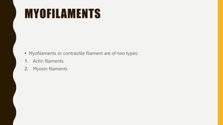 MYOFILAMENTS
• Myofilaments or contractile filament are of two types:
1. Actin filaments
2. Myosin filaments
 